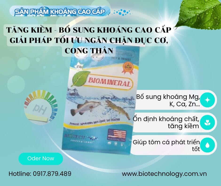 BIOMINERAL TĂNG KIỀM
