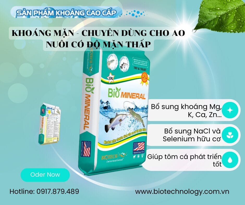KHOÁNG MẶN BIOMINERAL