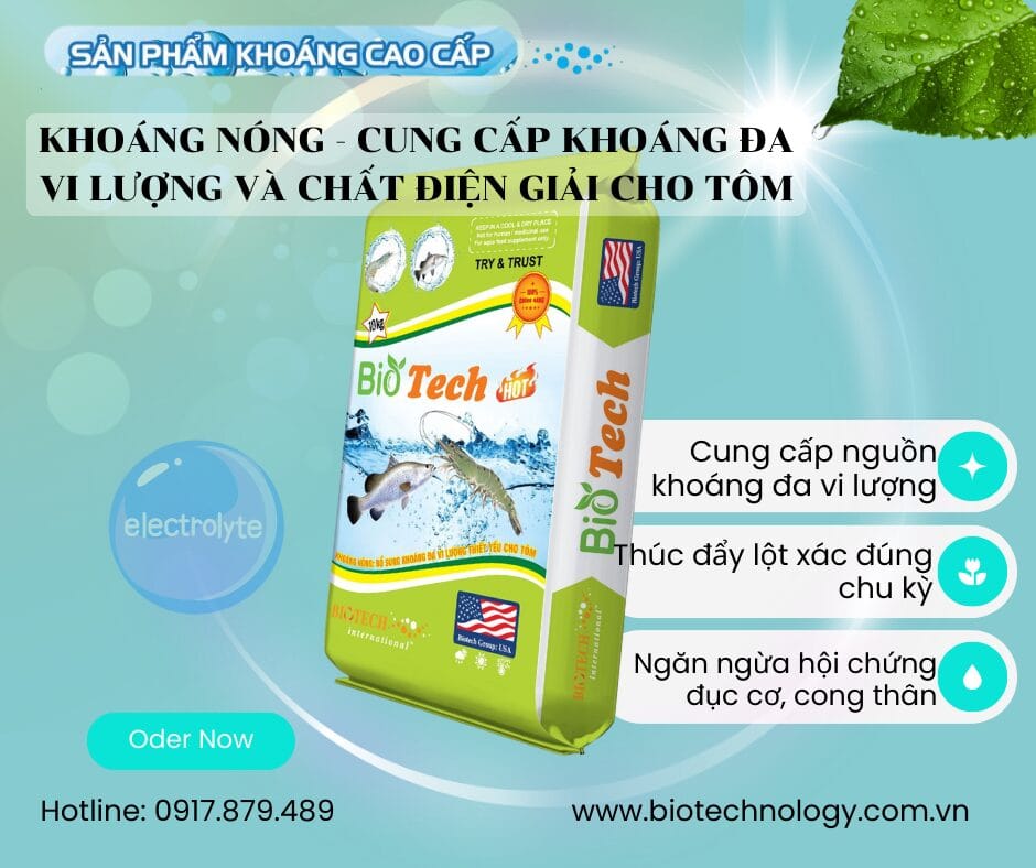 KHOÁNG NÓNG BIOTECH