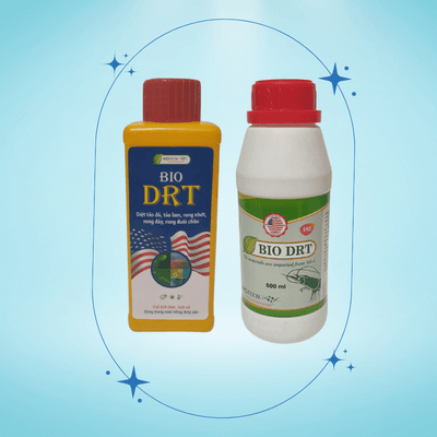 Alternative view of BIO DRT - TÔM