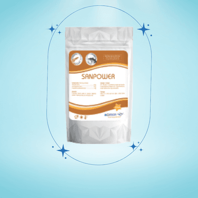 Alternative view of SANPOWER - CÁ