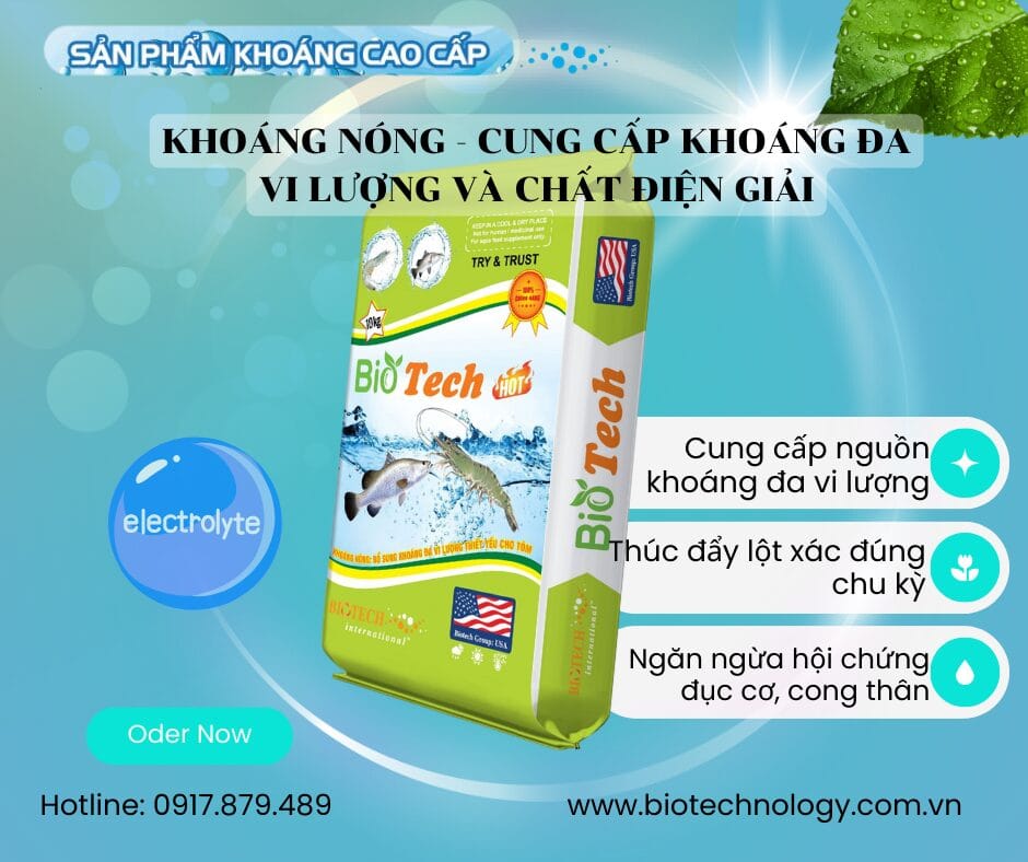 Khoáng nóng biotech cá