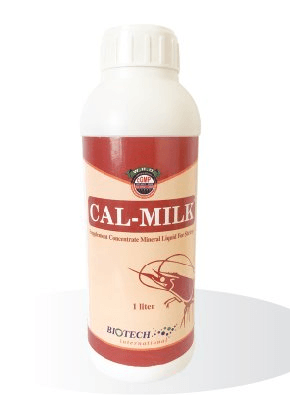 CALMILK