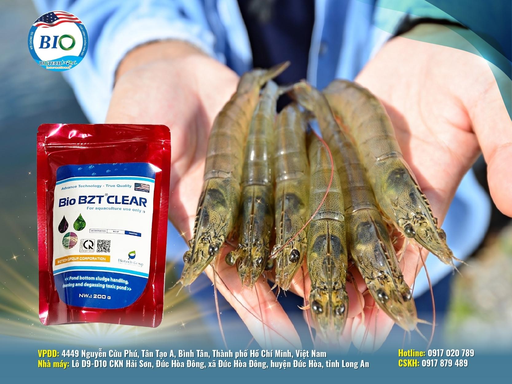 BIO BZT ® CLEAR - VI SINH CỦA MỸ CHẤT LƯỢNG TỐT NHẤT CHO VIỆC PHÂN HỦY CHẤT THẢI HỮU CƠ KHI NUÔI TÔM