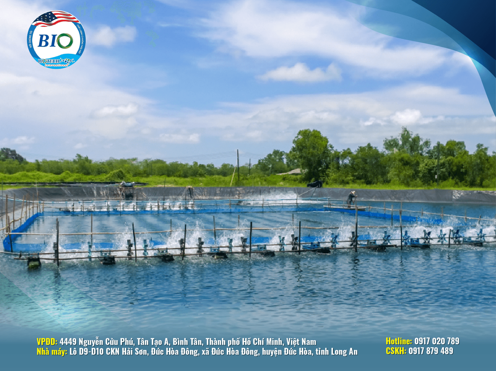 QUY TRÌNH XỬ LÝ AO NUÔI TÔM TRƯỚC KHI THẢ NUÔI TÔM NHƯ THẾ NÀO?