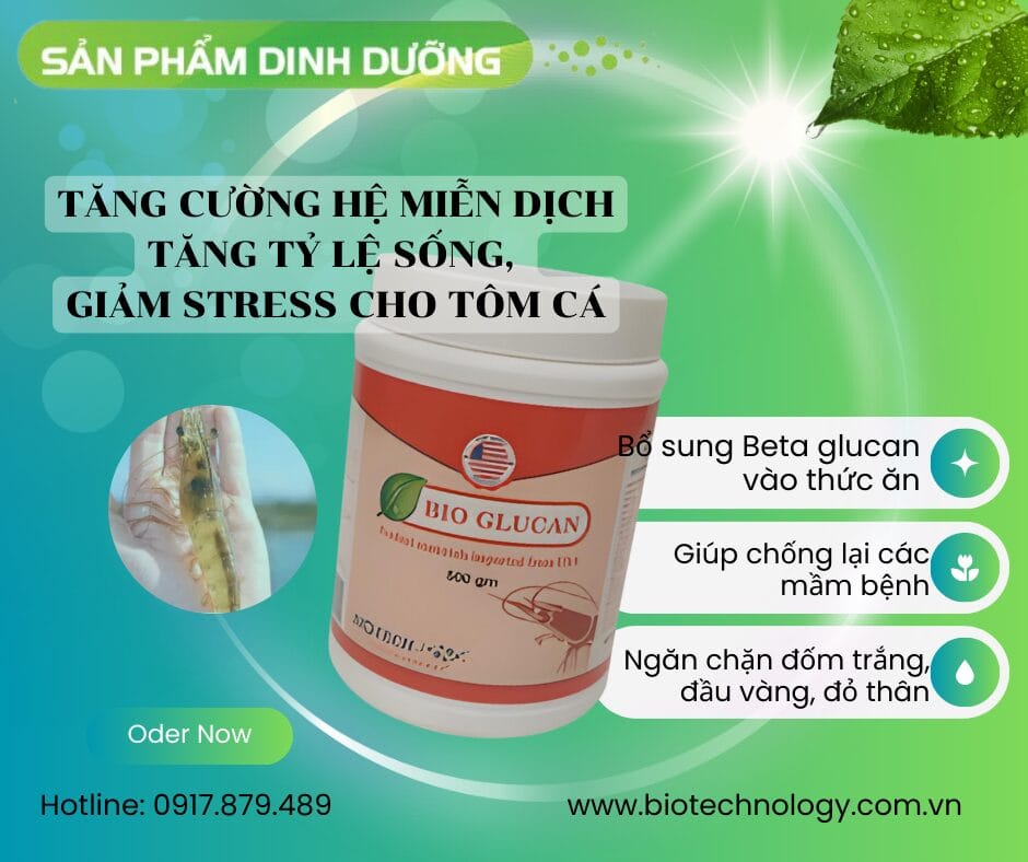 Bio glucan