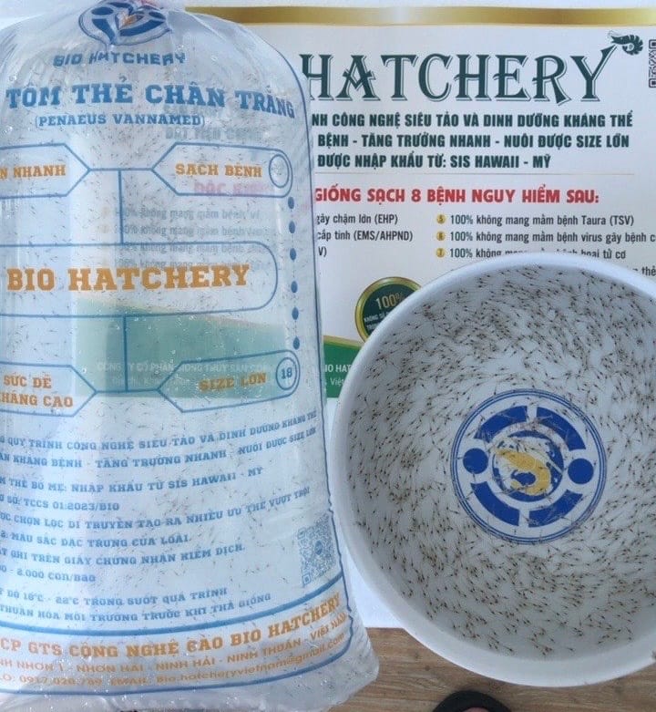 Alternative view of Tôm giống  - BIO